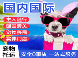 连云港航空快运国际宠物托运 【国